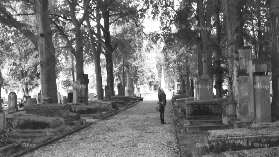 Walking through interesting cemetery