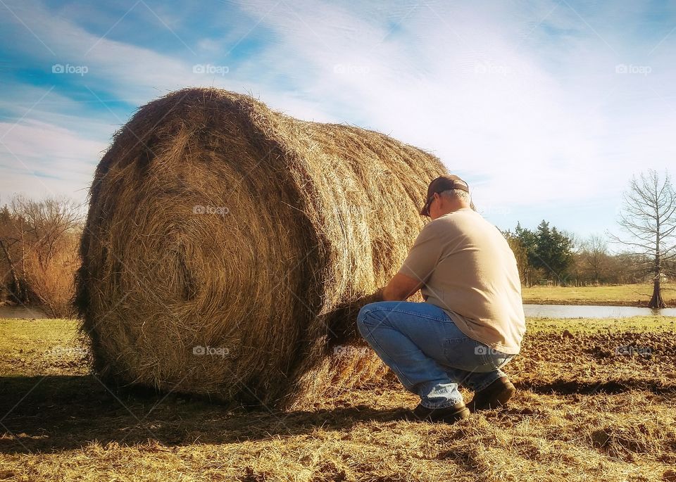 A man putting out a large round bale of hay