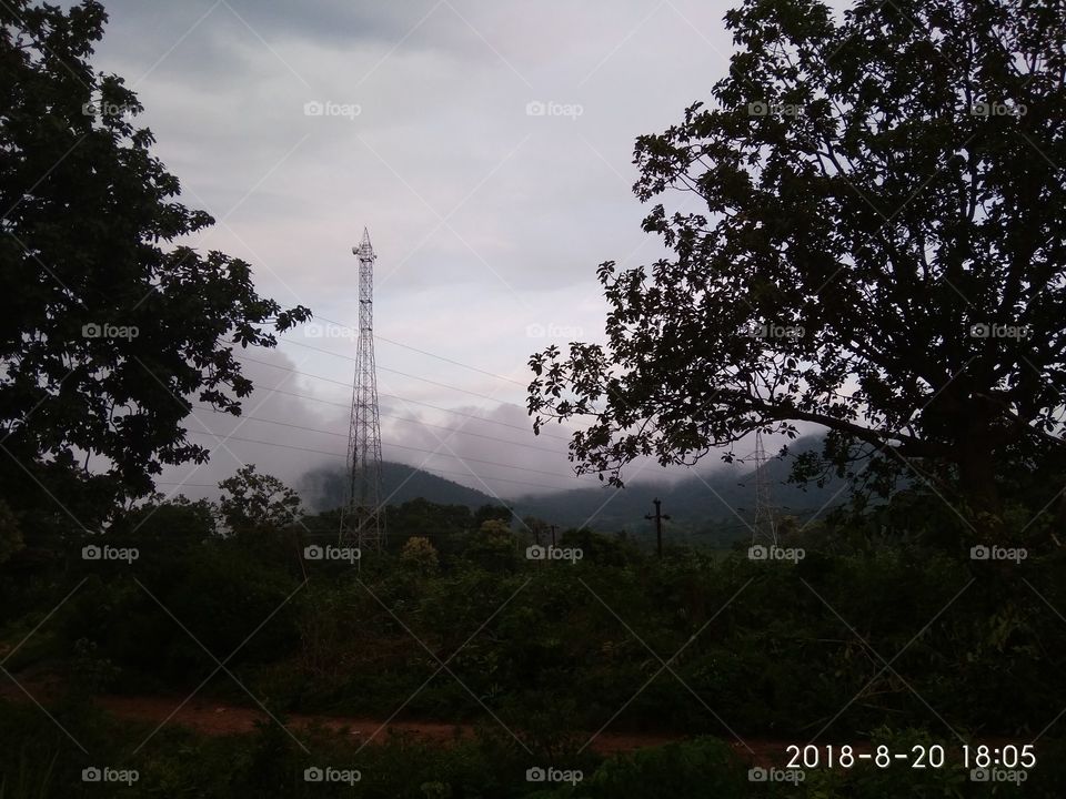 tower with Forest wallpaper