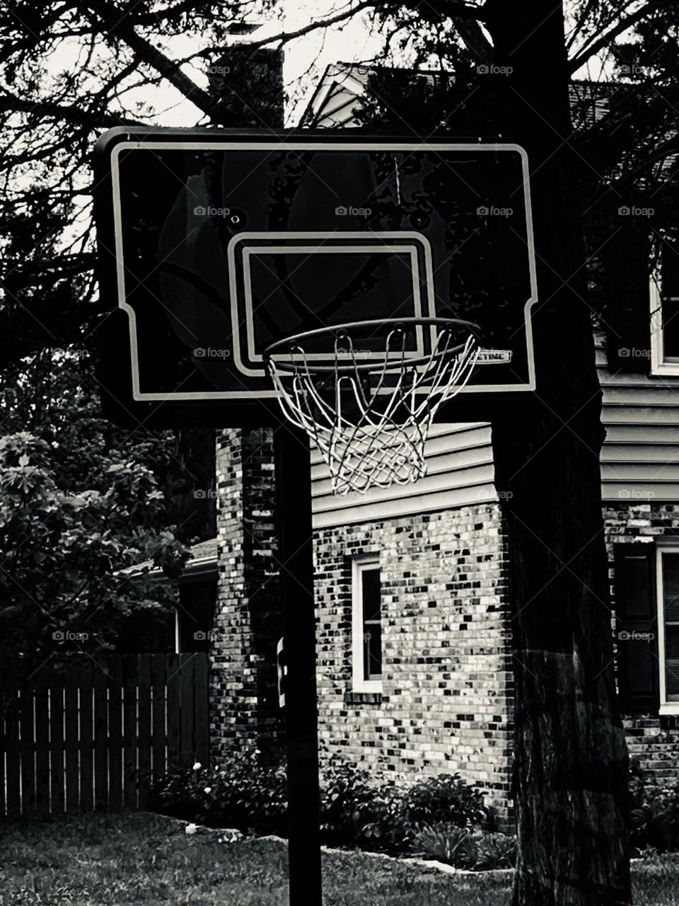 Basketball net