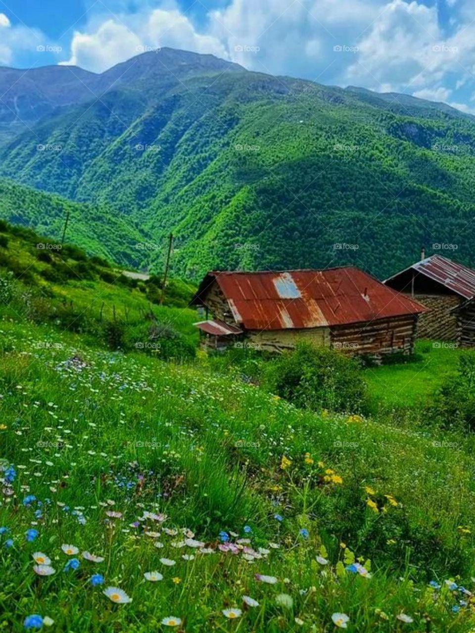 This aria is famous for beautiful country sides, but this one is more special to me, like every thing is perfect here