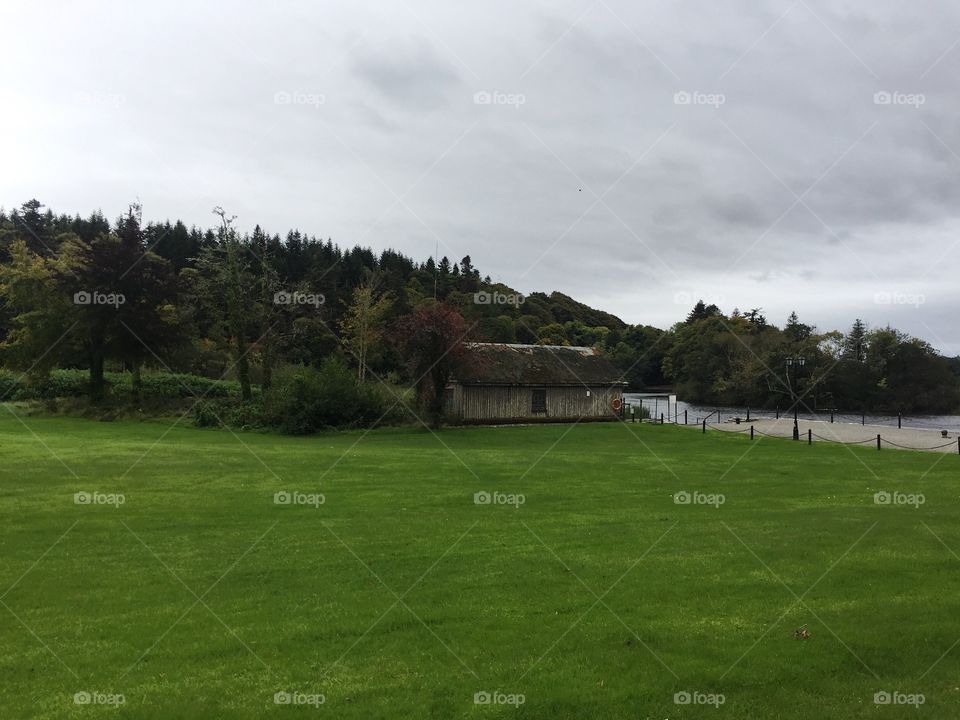 Grass, Landscape, Tree, No Person, Golf