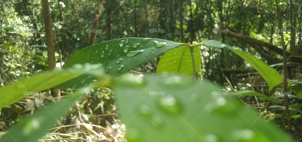 the rain has stop but the sky still threatenings rain