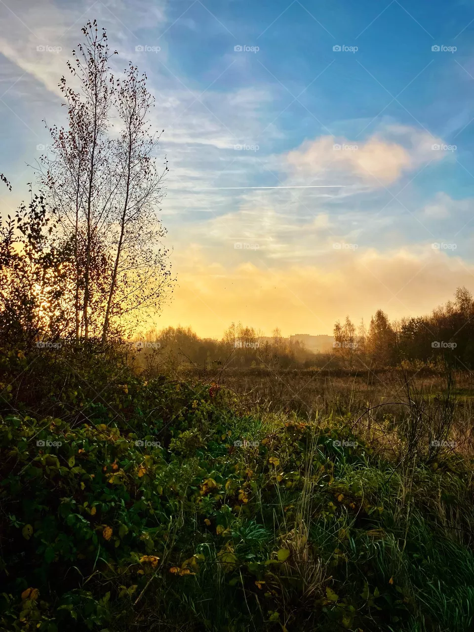 autumn