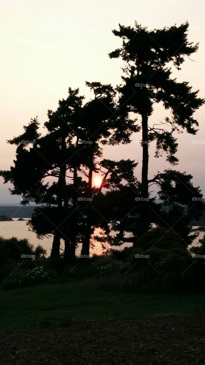Sunset at Saxe Point. Forest fire smoke makes for pretty sunsets in Victoria BC