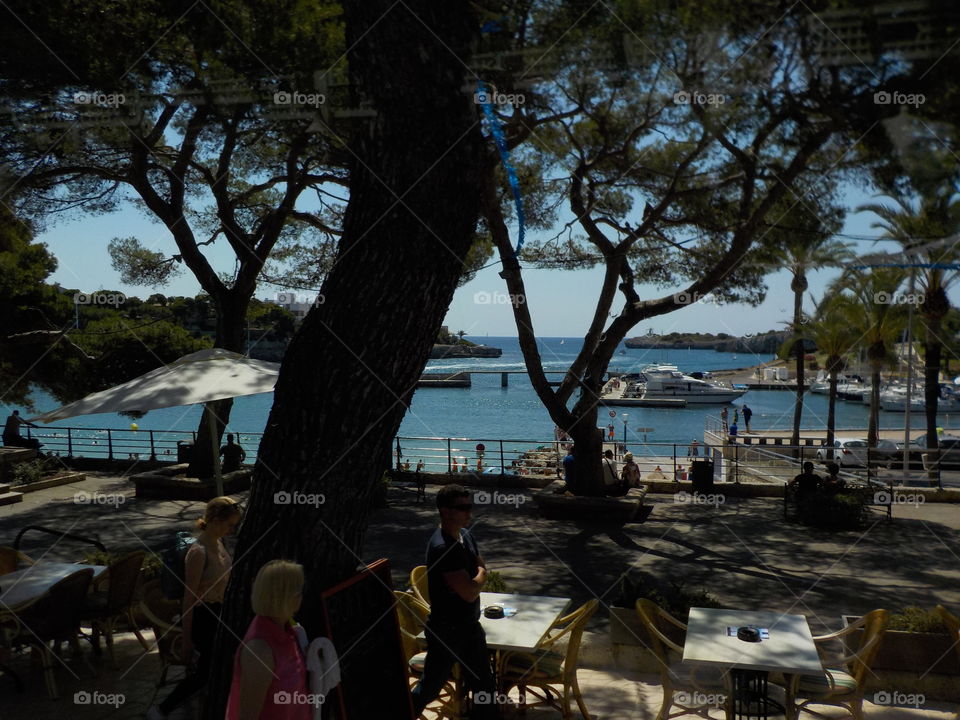 Beautiful sight - in Mallorca 