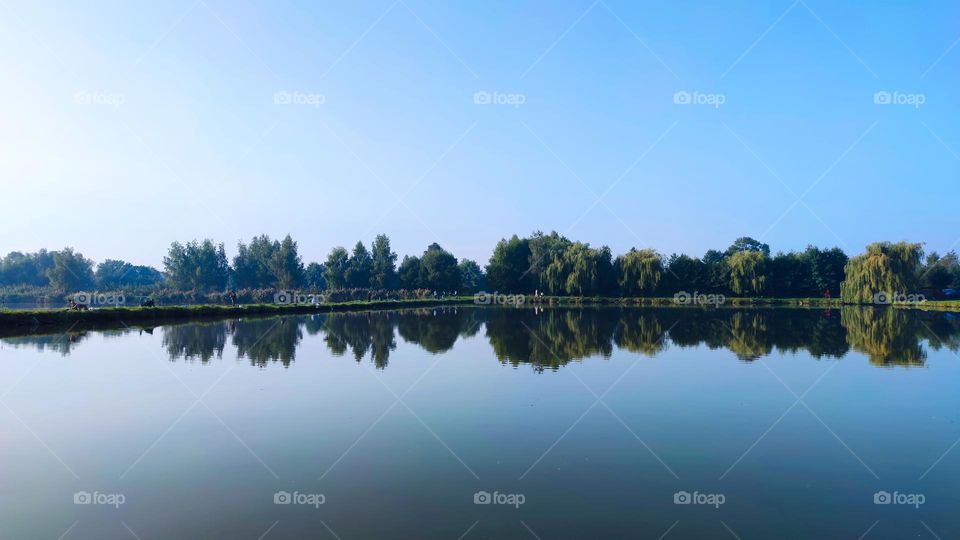 Morning on the lake