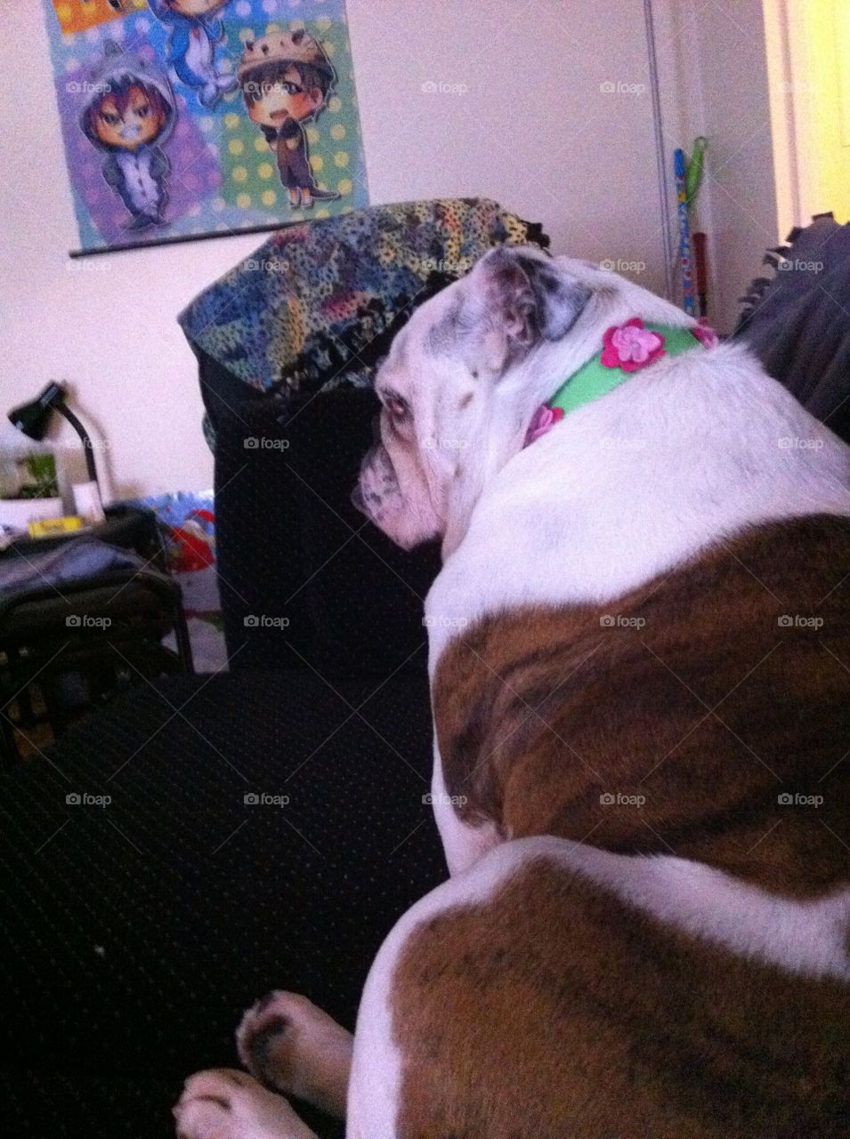 Please don't look at me right now...