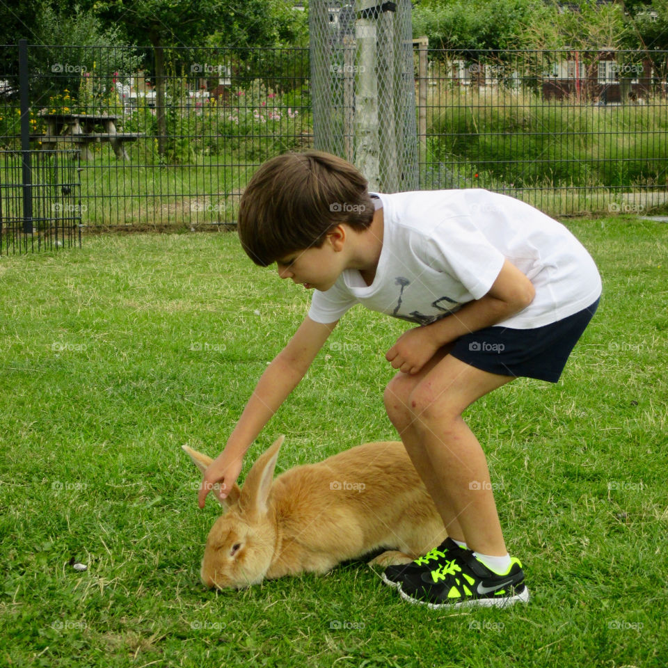 Child with Rabbit