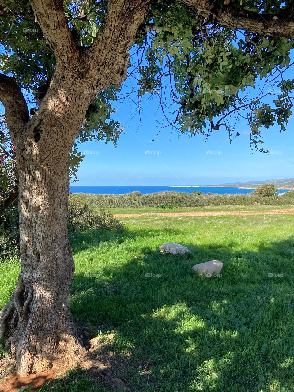 This is Paphos in February! An amazing day with a beautiful weather! Come and visit when you have the chance 🤗