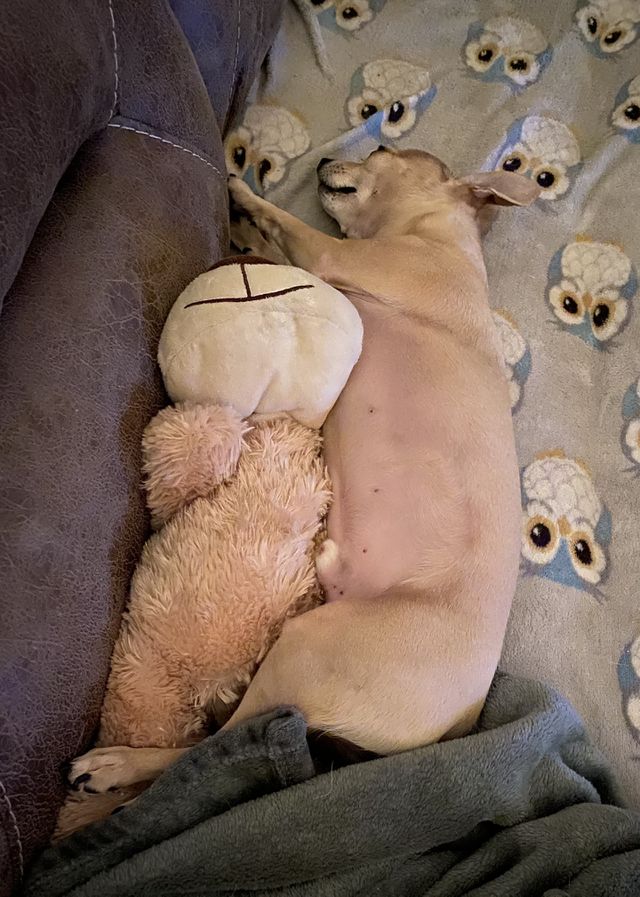 Nap time 