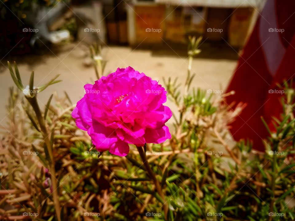 the nature is always like an art