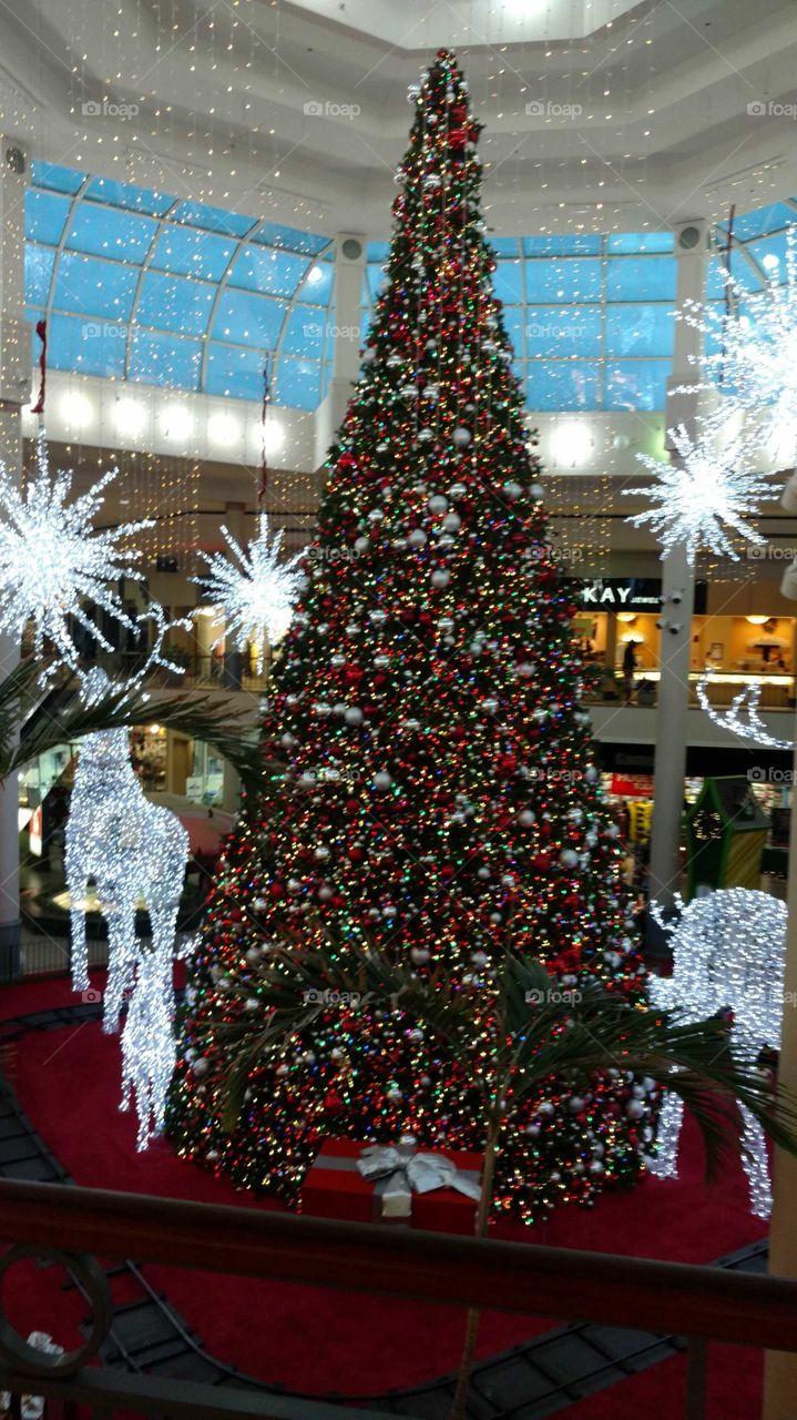Christmas in the Mall