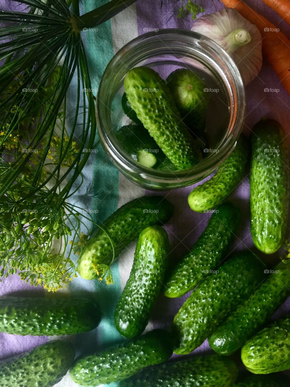 High angle view of cucumber