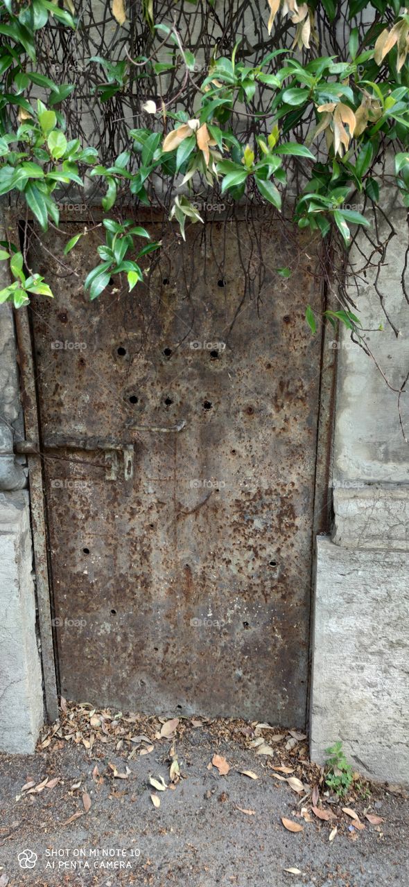 secret corners of the city