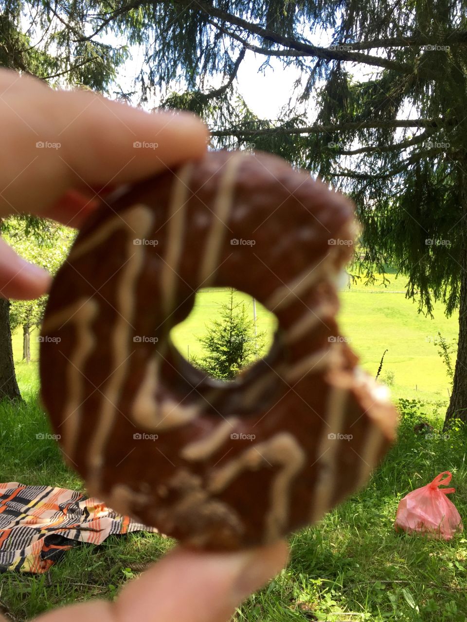 Donut view
