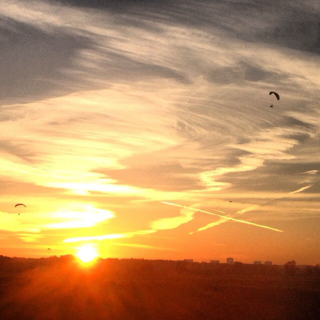 PARAGLIDERS
