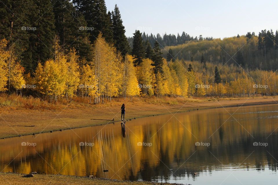 Autumn by the lake 