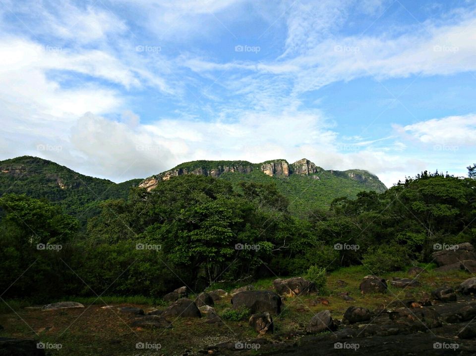 Nature # mountain range ⛰️👍🌲#forest