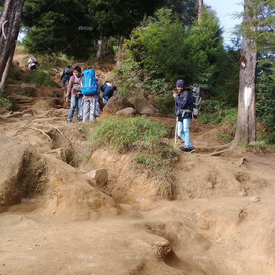 a group of young people climbing mountains