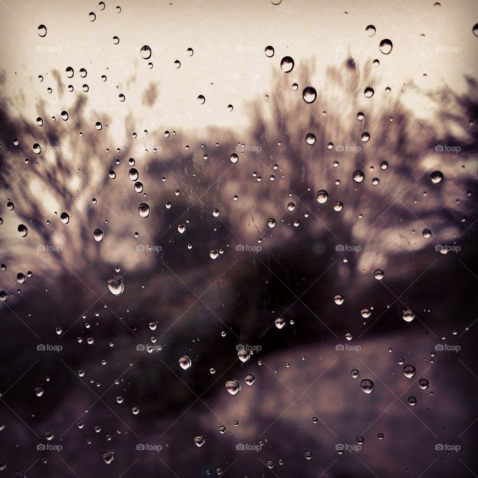 rainy window