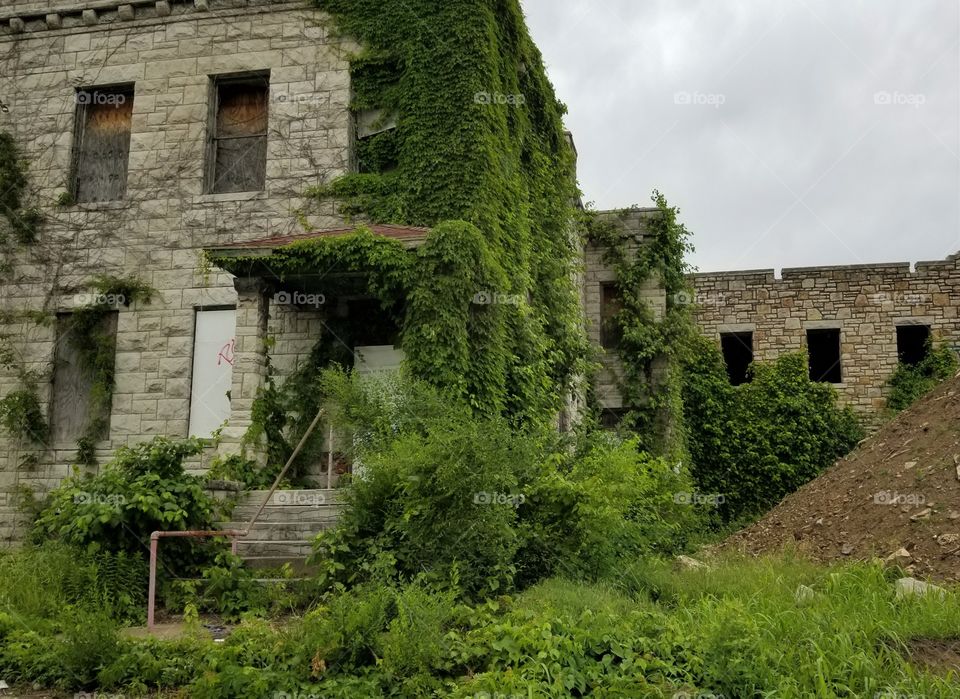 Plants overtake an abandoned building in a troubled urban area suffering from poverty and decay
