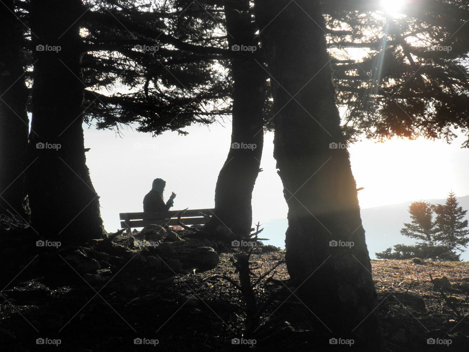 Mountain forest sea view