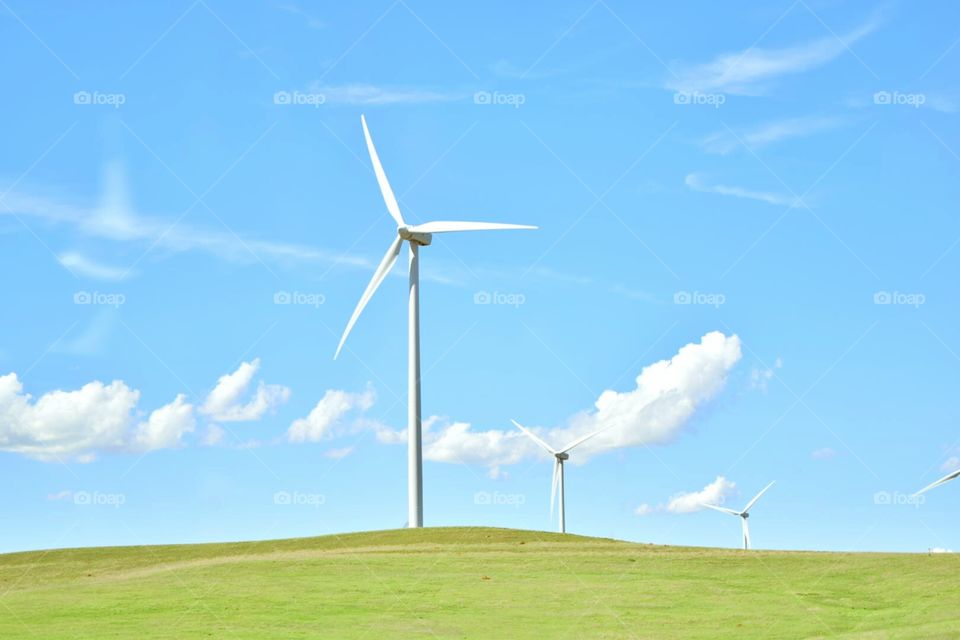 windmills. farmland