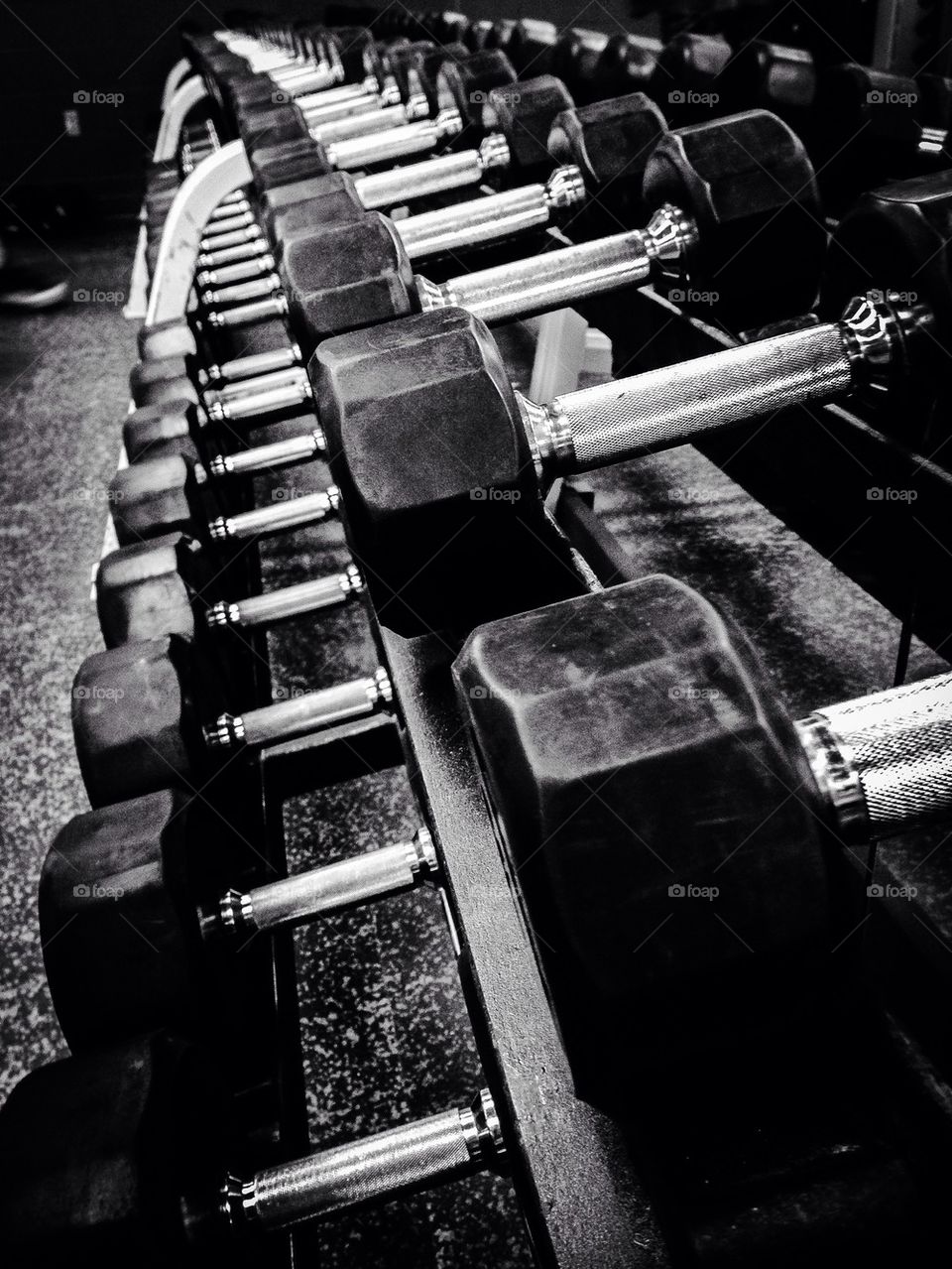 Dumbbells in the weight room