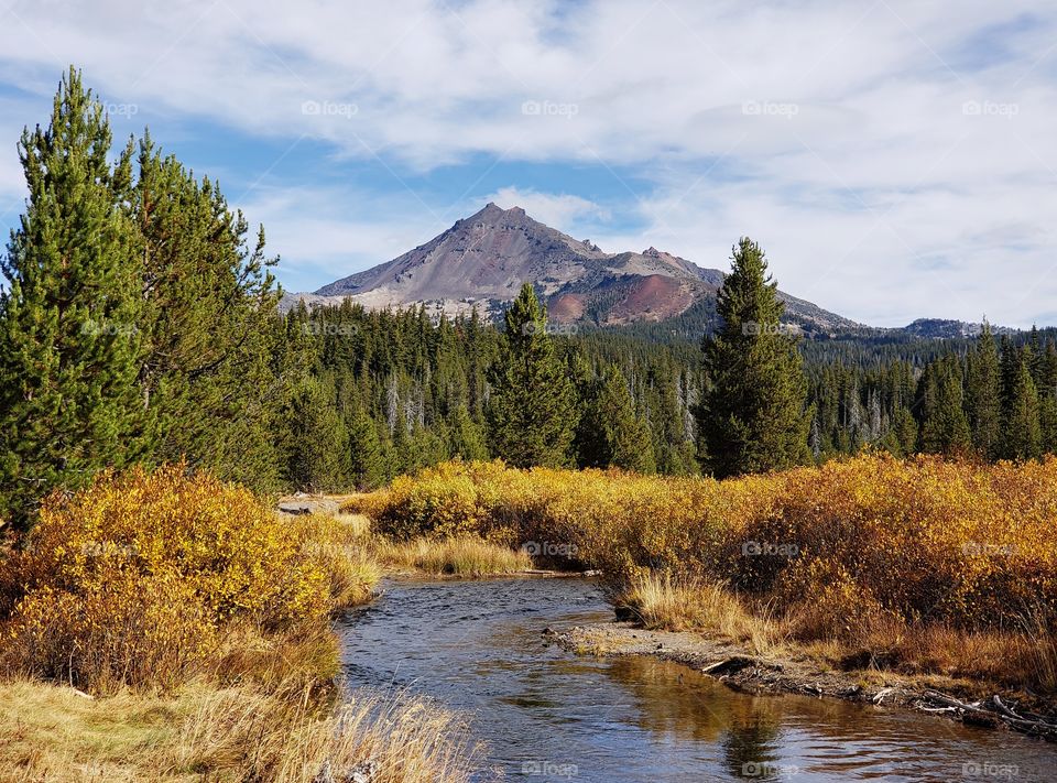 The beautiful Soda Creek in the mountains of Oregon with banks covered in golden fall foliage with the South Sister towering in the background. 