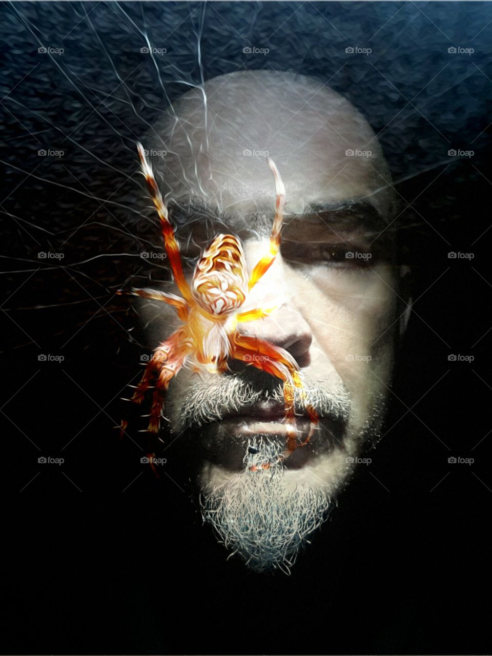 Portrait of a man's face behind spider wed