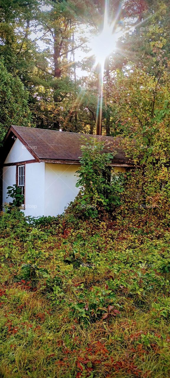 Abandoned Cottage