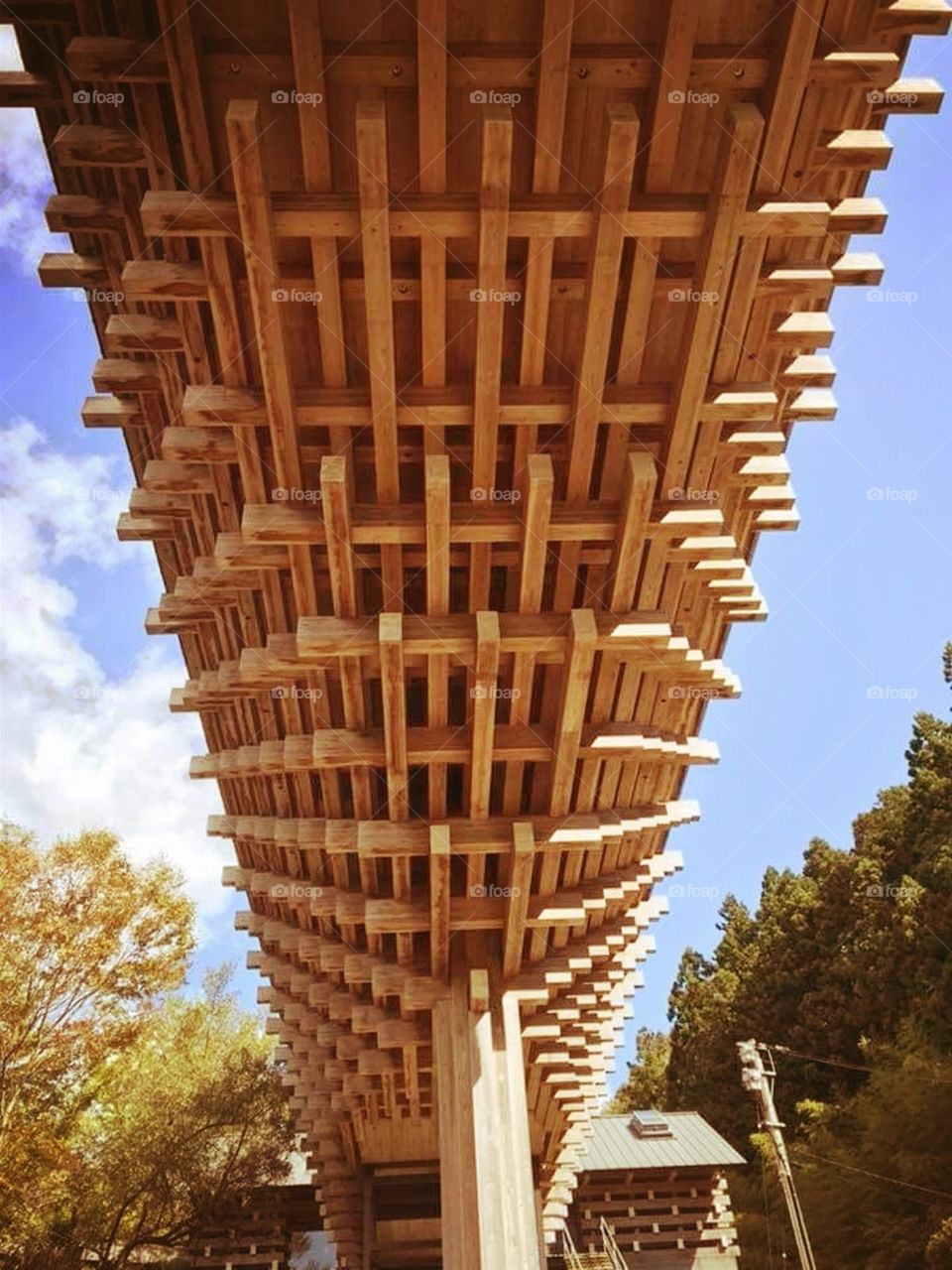 The Bridge: Do Your Math