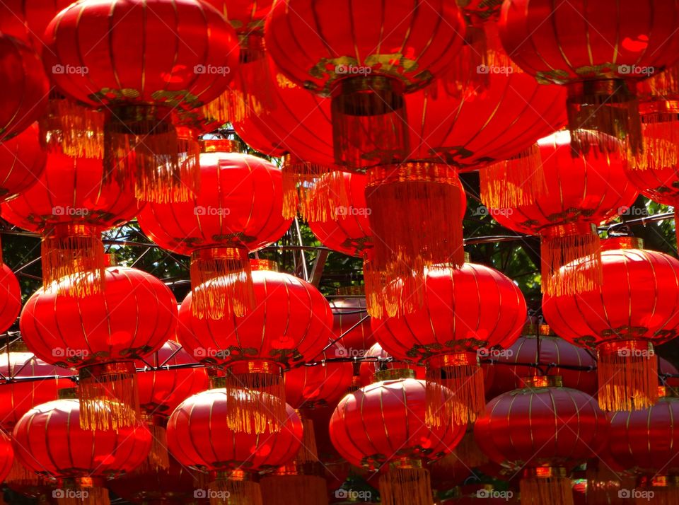 Red Chinese Lanterns
