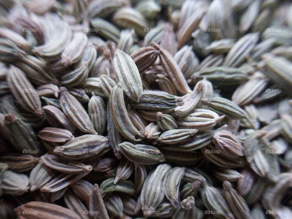 Fresh healthy Anise Seed pic