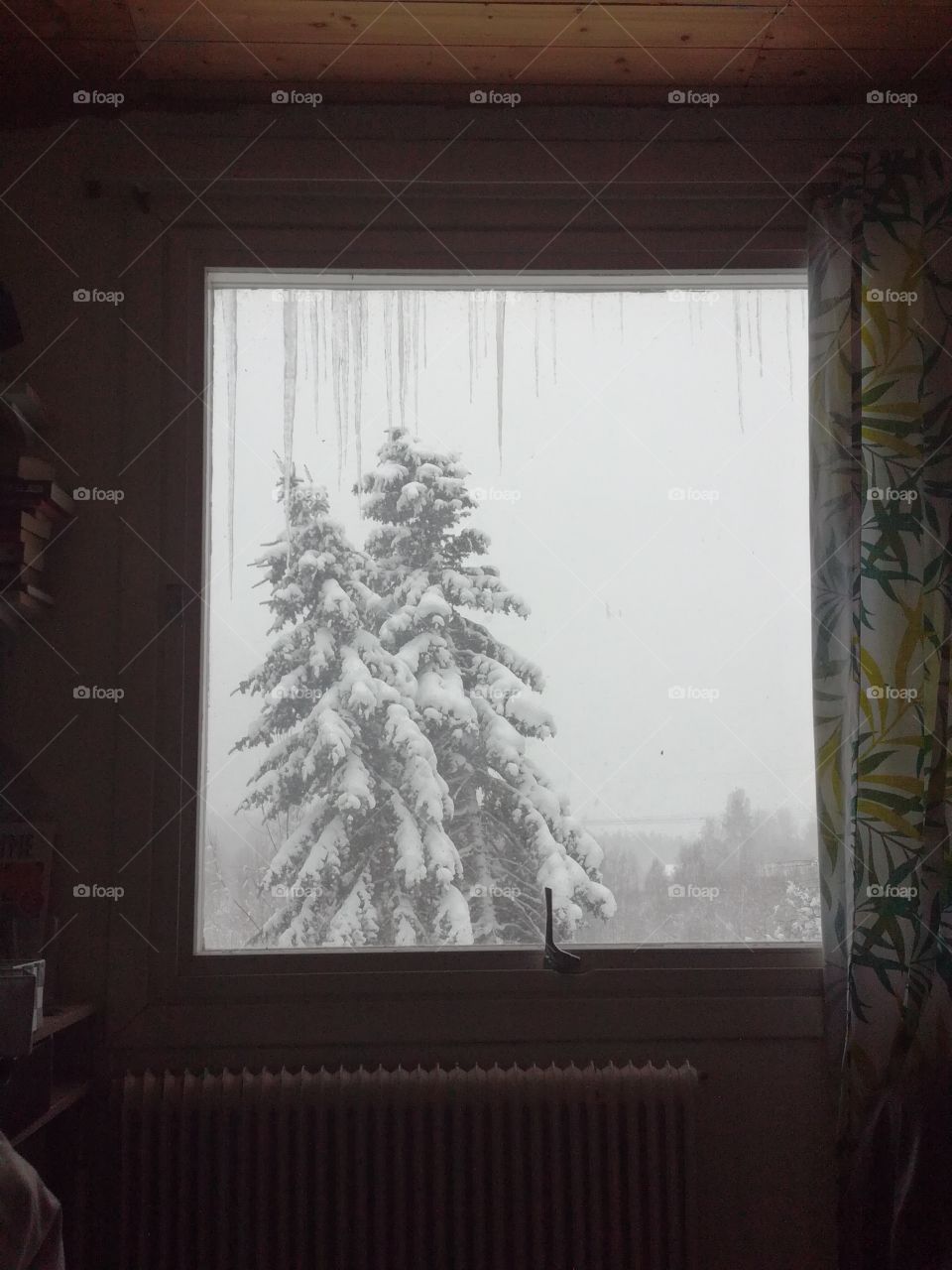 Winter outside my window
