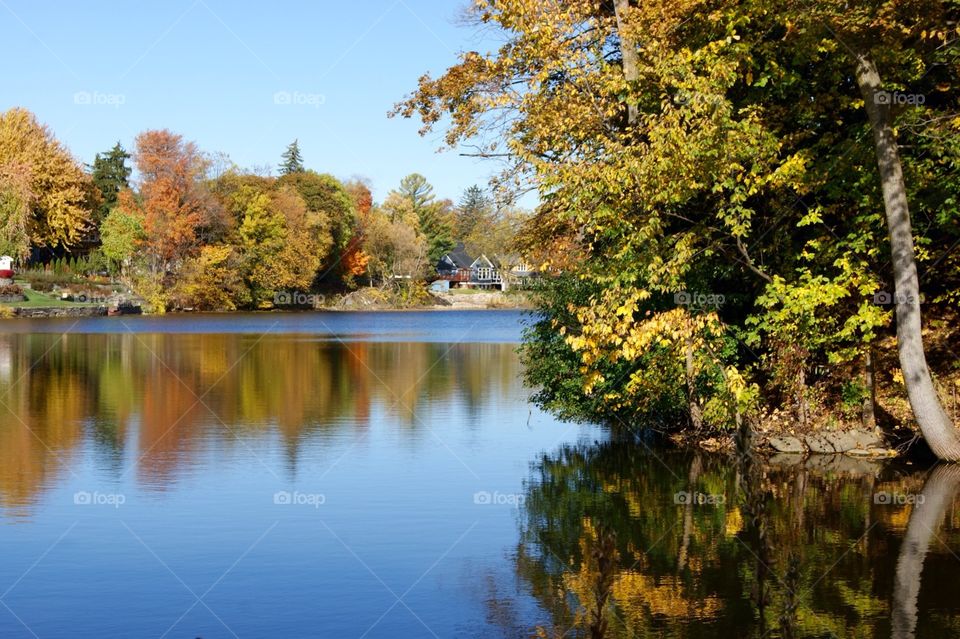 No Person, Fall, Tree, Water, Nature