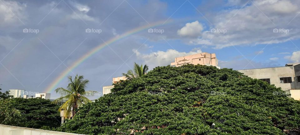 Natural rainbow scenery