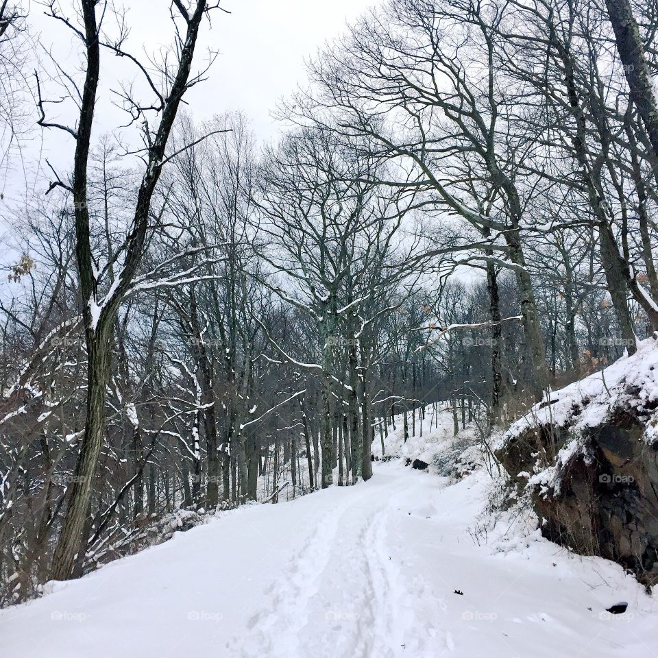 Plowed through a lot of snow on this morning's run. A tough workout. 