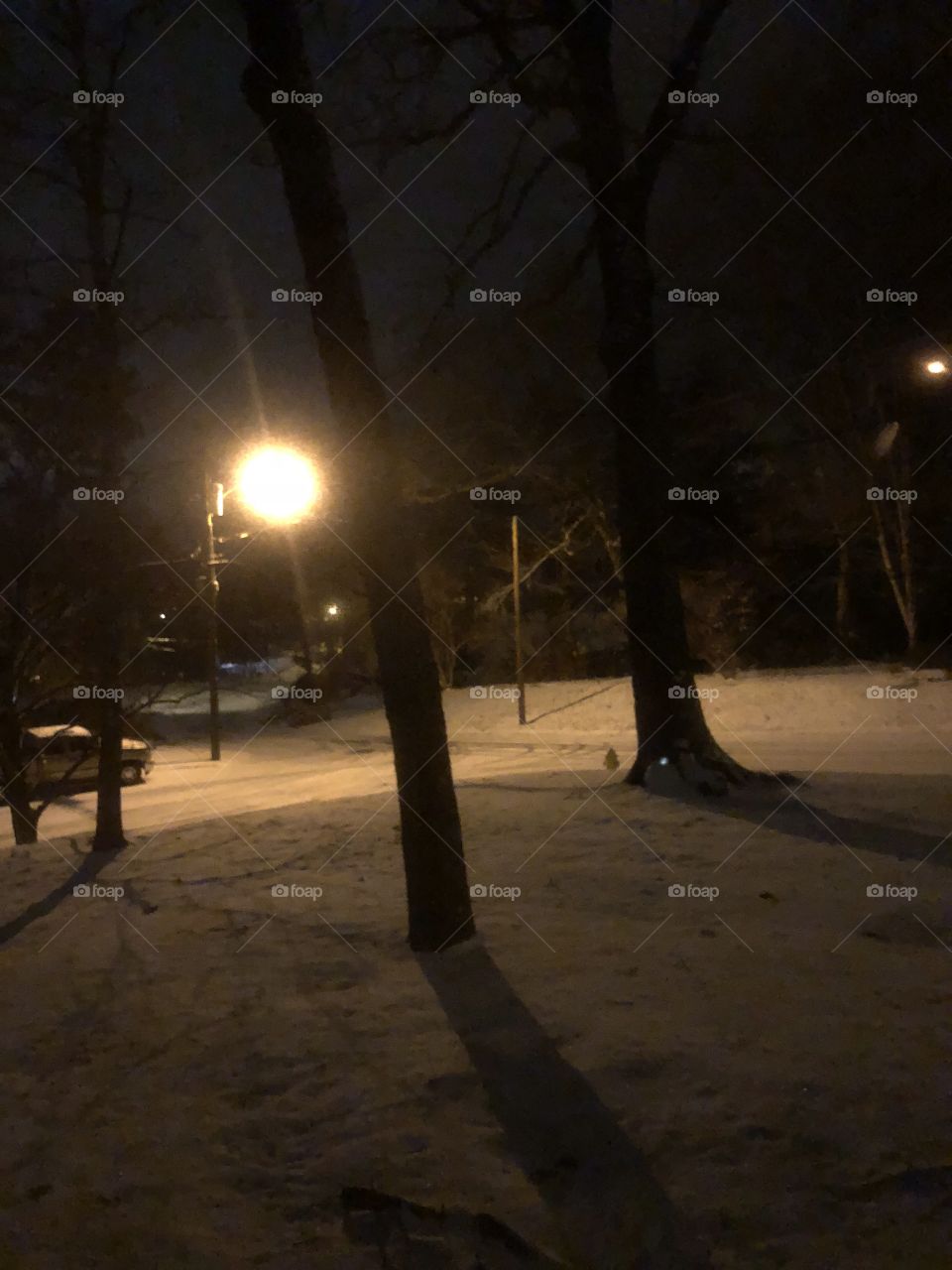 Calm in the snow at night 
