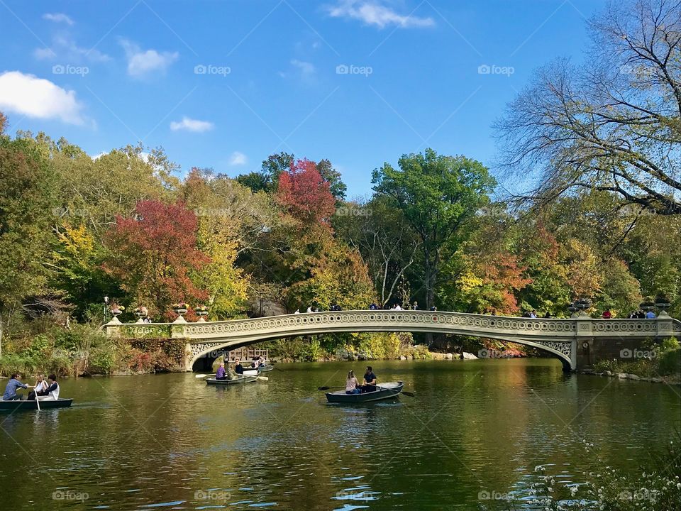 Bow Bridge in Central Park, NYC 