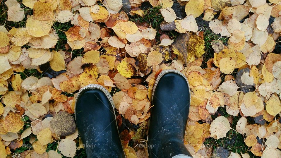 Boots. there is no bad weather only very nice shoes