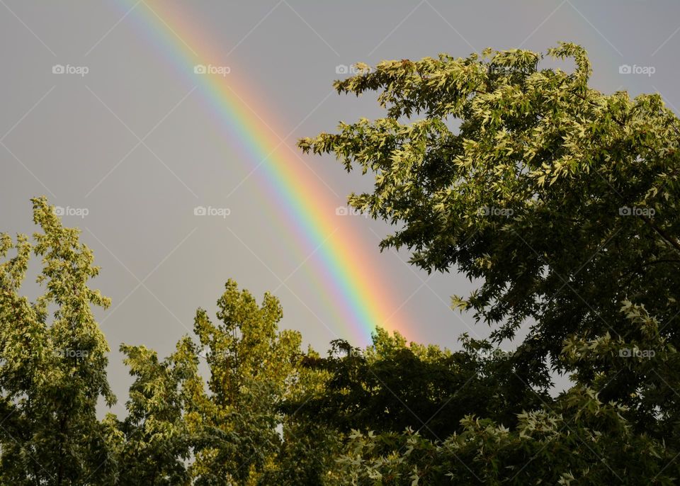 colour rainbow 🌈 nature natural beauty