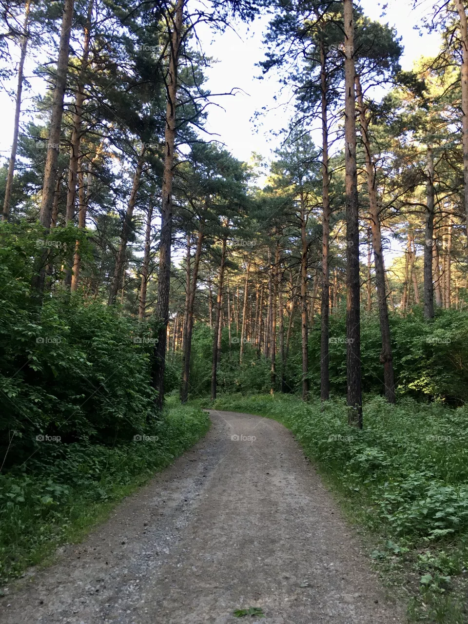 Road