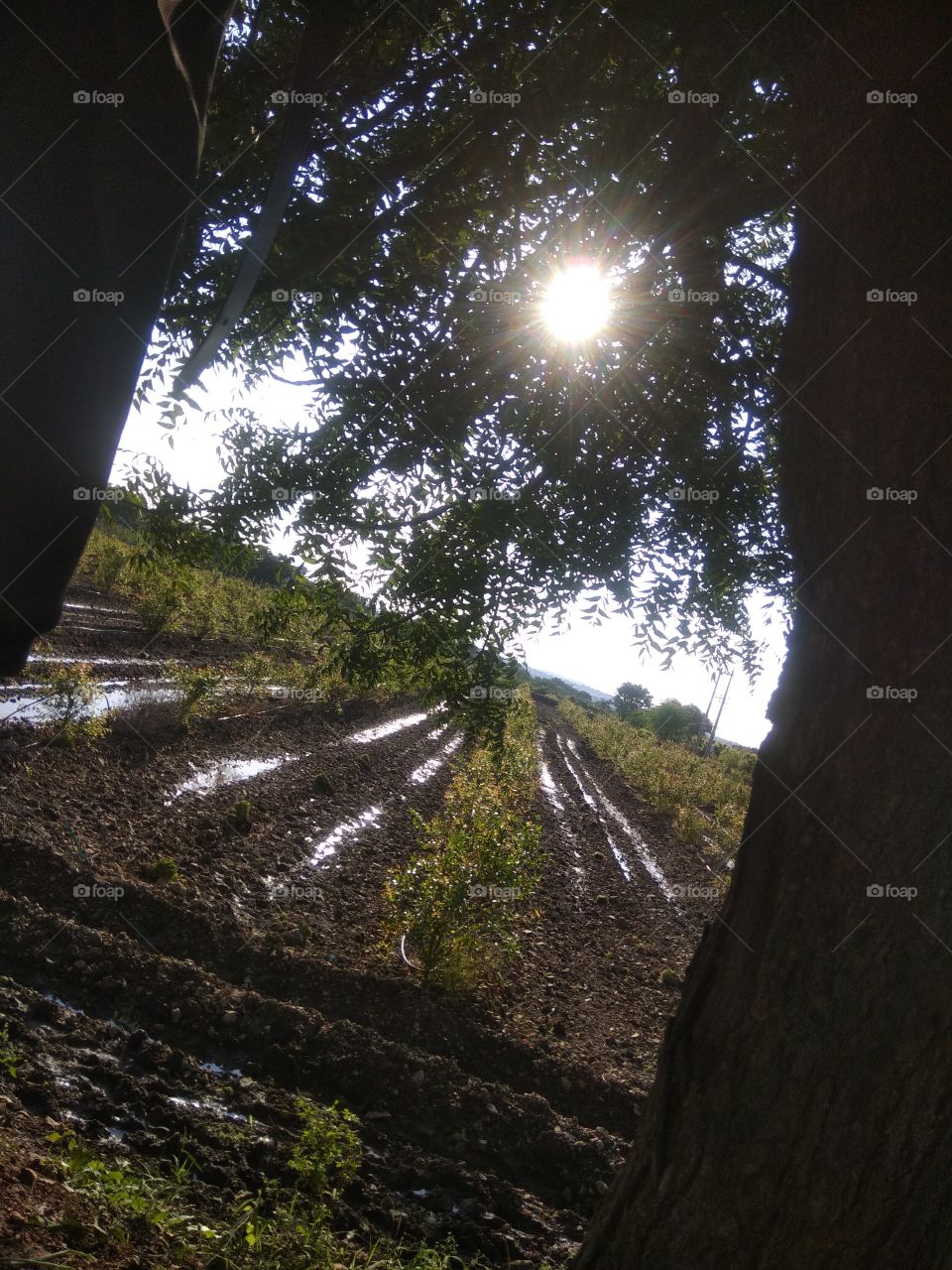 A beautiful view from my farm of my village!! Rural view!! 😍