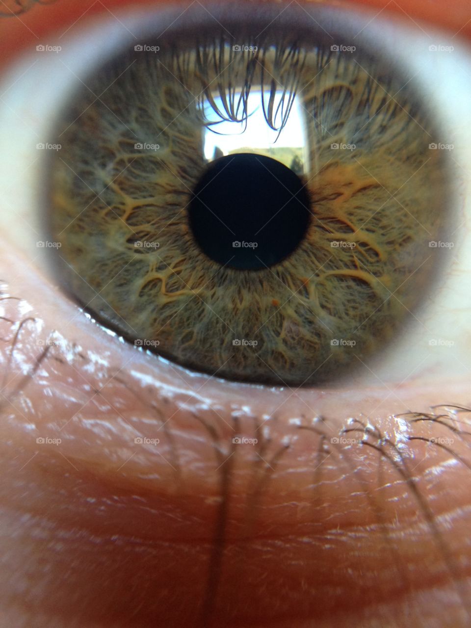 Close-up of a human eye