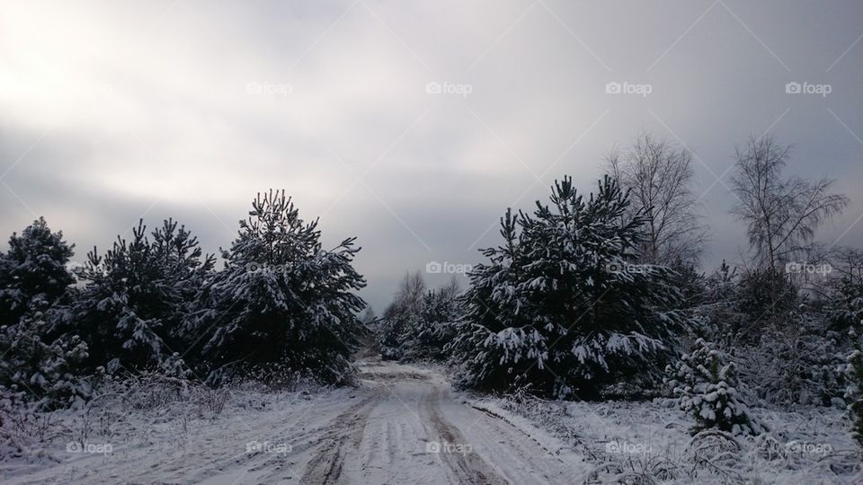 snow road 