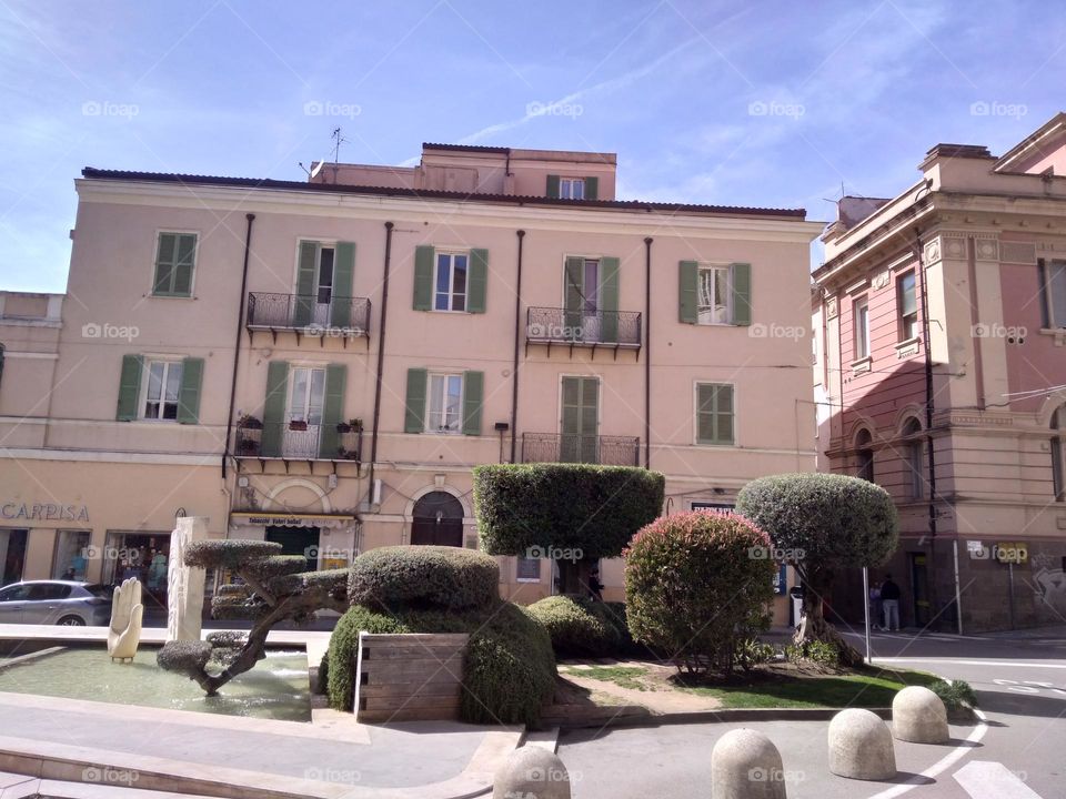 Editors' Choice: Photo of the Week