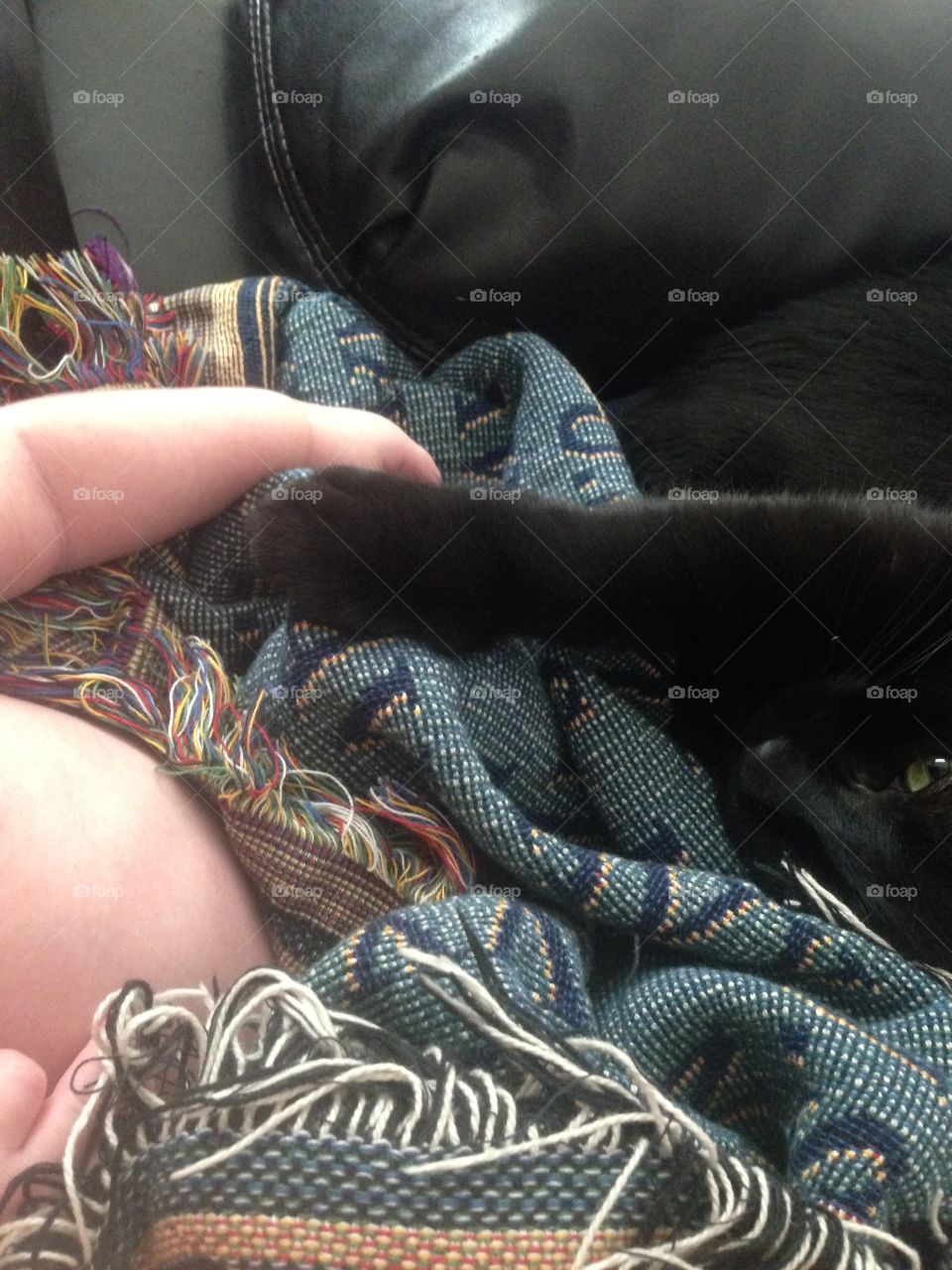 Fashion, People, Wear, Woman, Portrait