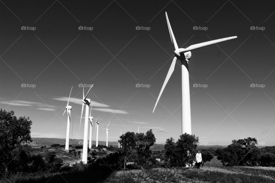 black and white windmil